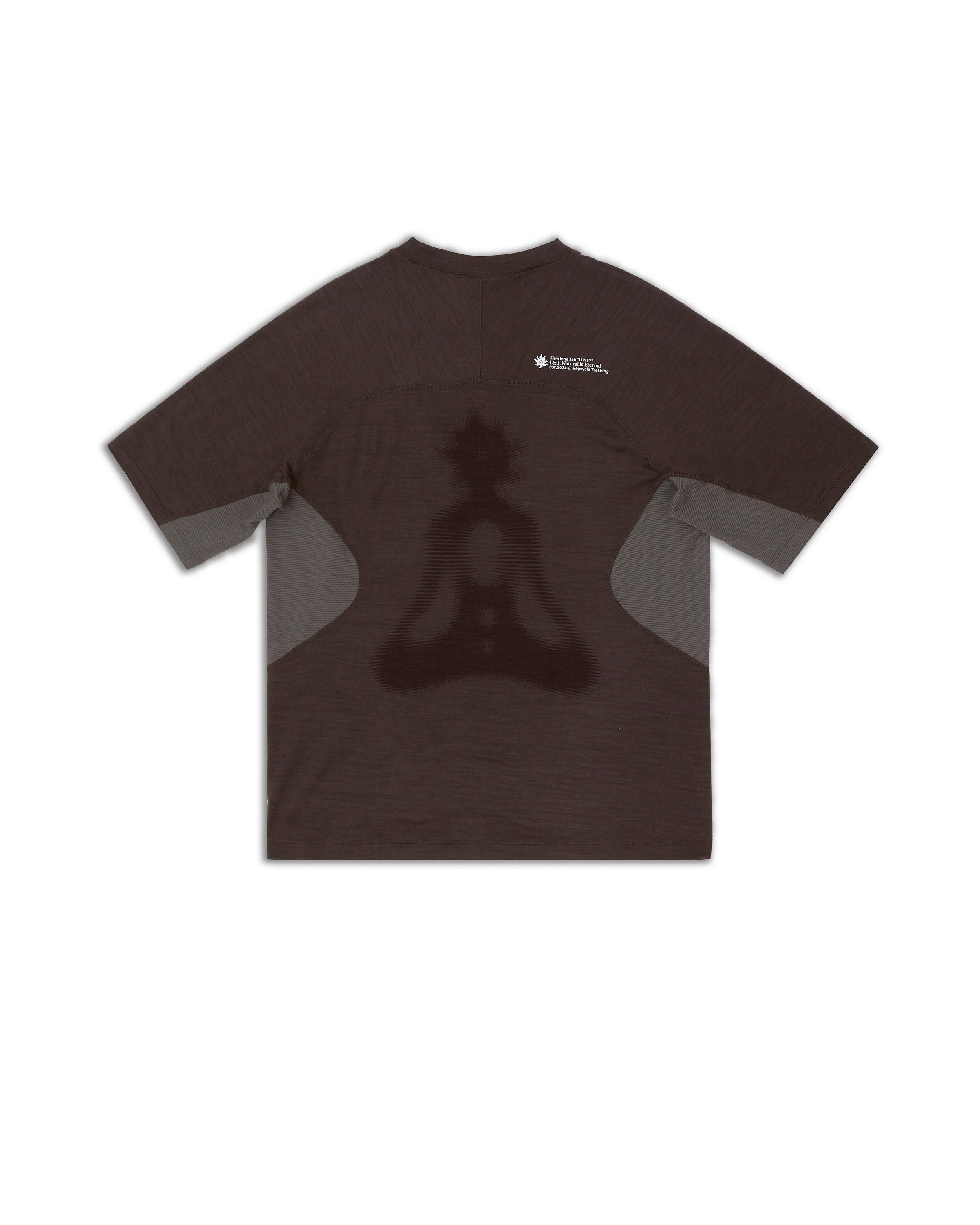 Pinecone