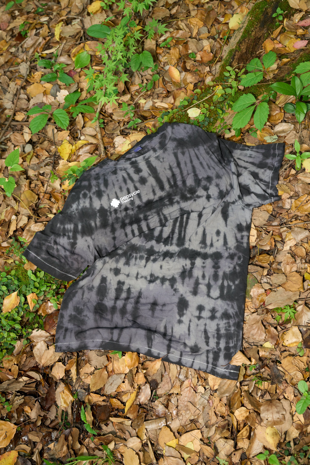 PALOMA-Merino Short Sleeve