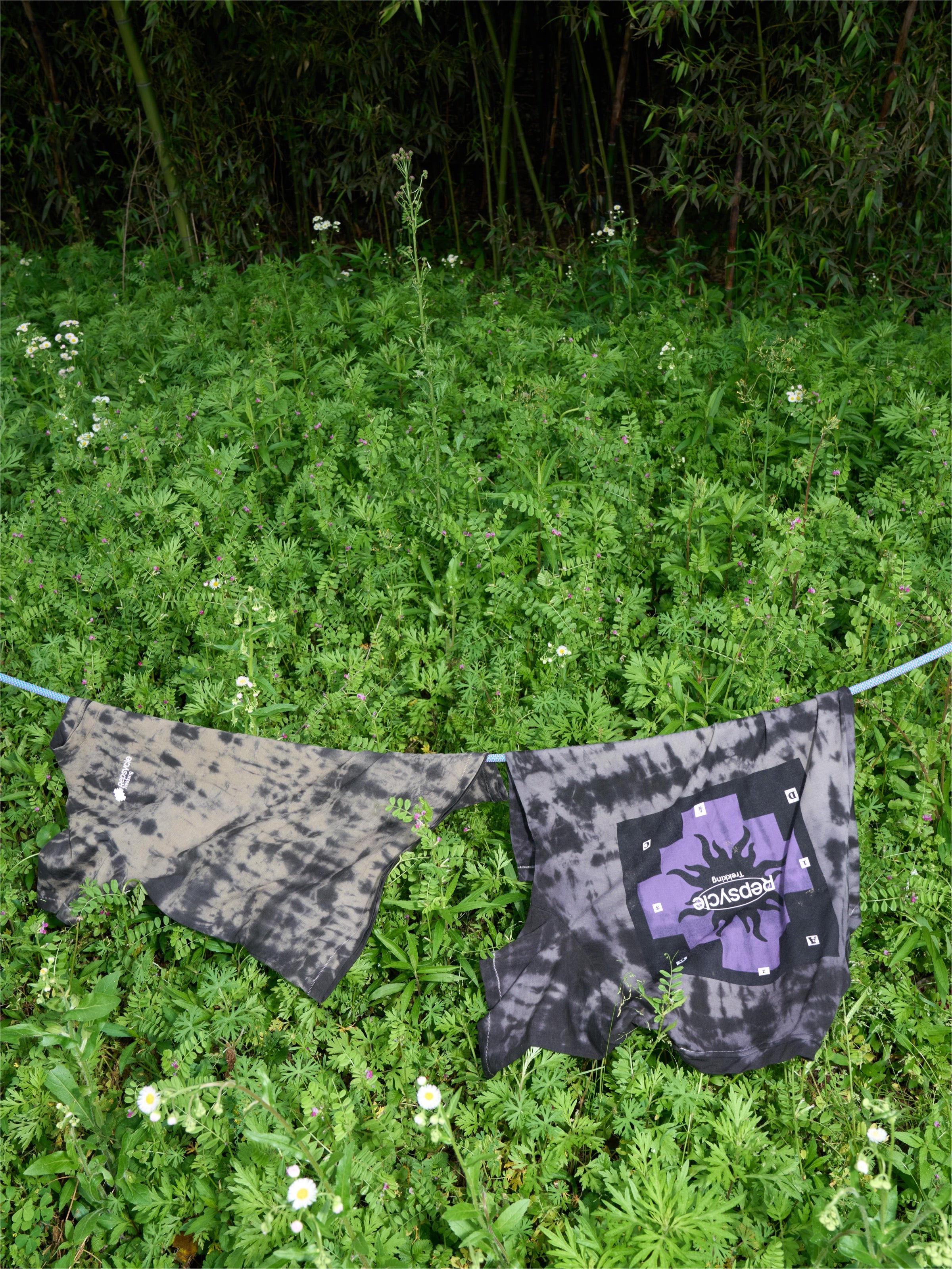 PALOMA-Merino Short Sleeve